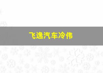 飞逸汽车冷伟