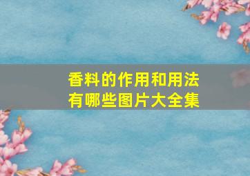 香料的作用和用法有哪些图片大全集