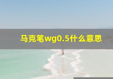 马克笔wg0.5什么意思