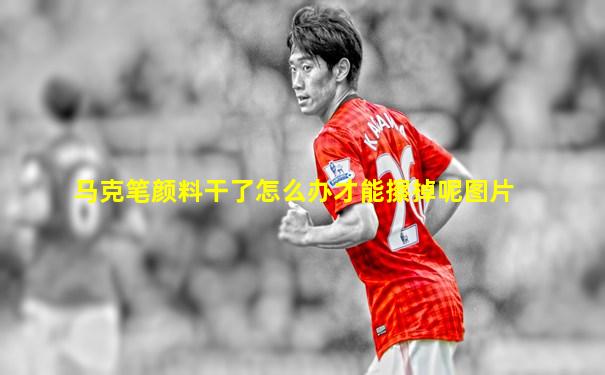 马克笔颜料干了怎么办才能擦掉呢图片