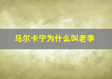 马尔卡宁为什么叫老李