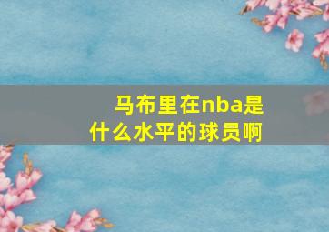 马布里在nba是什么水平的球员啊