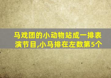 马戏团的小动物站成一排表演节目,小马排在左数第5个