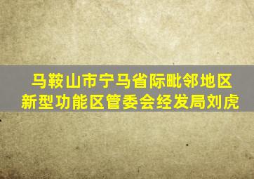 马鞍山市宁马省际毗邻地区新型功能区管委会经发局刘虎