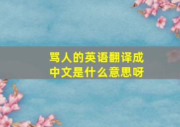 骂人的英语翻译成中文是什么意思呀