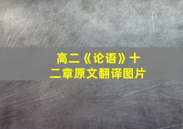 高二《论语》十二章原文翻译图片