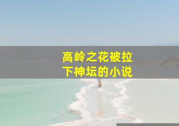 高岭之花被拉下神坛的小说