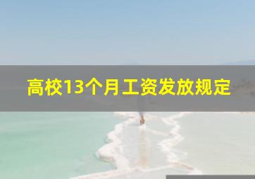 高校13个月工资发放规定