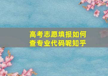 高考志愿填报如何查专业代码呢知乎