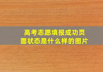 高考志愿填报成功页面状态是什么样的图片