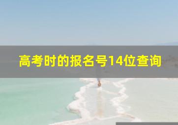 高考时的报名号14位查询