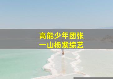 高能少年团张一山杨紫综艺