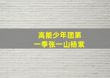 高能少年团第一季张一山杨紫