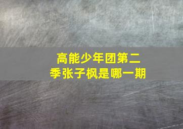 高能少年团第二季张子枫是哪一期