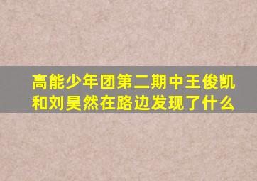 高能少年团第二期中王俊凯和刘昊然在路边发现了什么