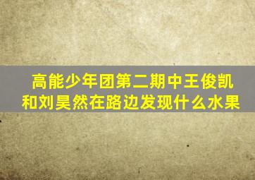 高能少年团第二期中王俊凯和刘昊然在路边发现什么水果