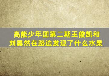 高能少年团第二期王俊凯和刘昊然在路边发现了什么水果