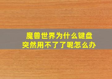 魔兽世界为什么键盘突然用不了了呢怎么办