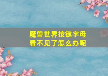 魔兽世界按键字母看不见了怎么办呢