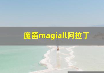 魔笛magiall阿拉丁