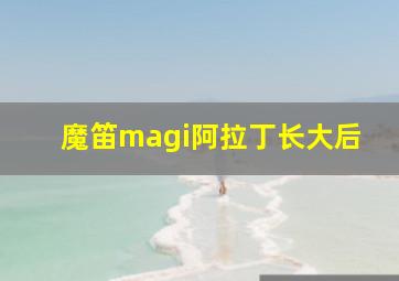 魔笛magi阿拉丁长大后