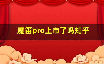 魔笛pro上市了吗知乎