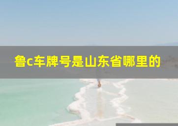 鲁c车牌号是山东省哪里的