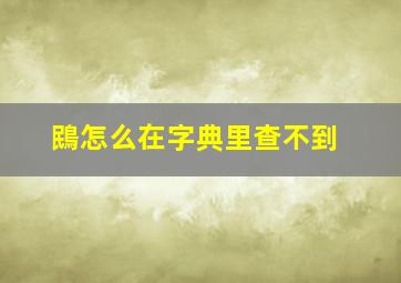 鴖怎么在字典里查不到