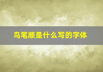 鸟笔顺是什么写的字体