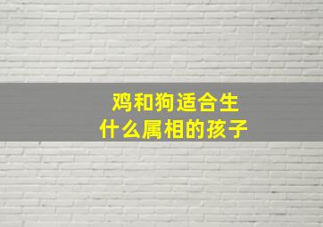 鸡和狗适合生什么属相的孩子