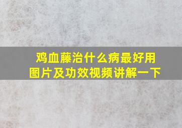 鸡血藤治什么病最好用图片及功效视频讲解一下