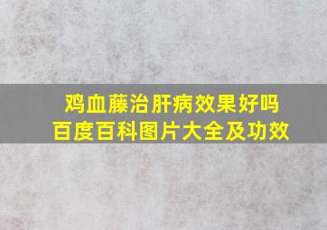 鸡血藤治肝病效果好吗百度百科图片大全及功效