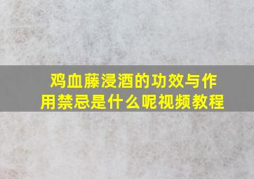 鸡血藤浸酒的功效与作用禁忌是什么呢视频教程