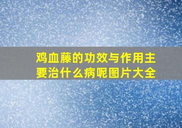 鸡血藤的功效与作用主要治什么病呢图片大全