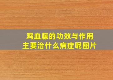 鸡血藤的功效与作用主要治什么病症呢图片