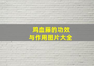 鸡血藤的功效与作用图片大全