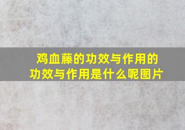 鸡血藤的功效与作用的功效与作用是什么呢图片