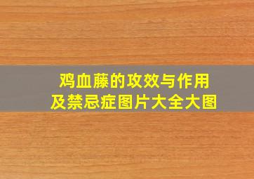 鸡血藤的攻效与作用及禁忌症图片大全大图