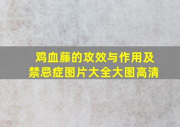 鸡血藤的攻效与作用及禁忌症图片大全大图高清