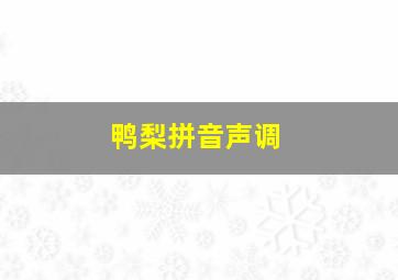 鸭梨拼音声调