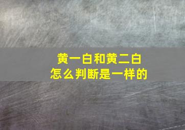 黄一白和黄二白怎么判断是一样的