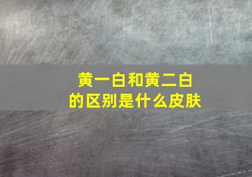 黄一白和黄二白的区别是什么皮肤