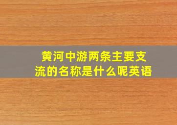 黄河中游两条主要支流的名称是什么呢英语