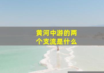 黄河中游的两个支流是什么