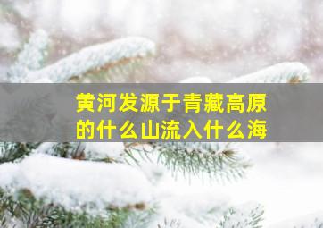 黄河发源于青藏高原的什么山流入什么海