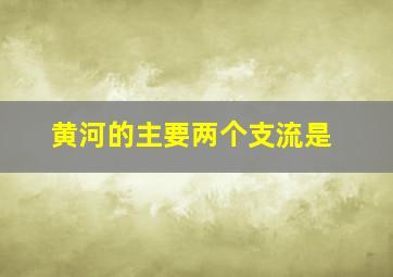 黄河的主要两个支流是