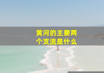 黄河的主要两个支流是什么