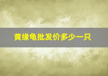 黄缘龟批发价多少一只