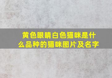 黄色眼睛白色猫咪是什么品种的猫咪图片及名字