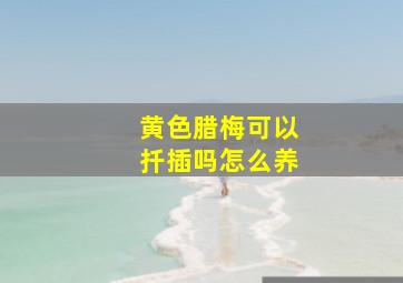 黄色腊梅可以扦插吗怎么养